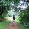 A walk through Shotover Country Park, Oxford