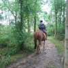 A walk in Shotover Country Park, Oxford