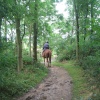 A walk in Shotover Country Park, Oxford