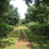 A walk in Shotover Country Park, Oxford