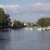 The River Thames from Flower Pot Green.