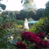 The Walled Garden