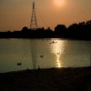 Whitlingham broad