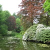 Wightwick Manor, the garden