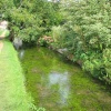 Stream