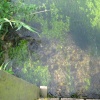 Looking directly into the stream