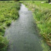 Part of River Test
