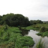 River Test, Stockbridge