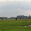 Water Meadows, Stockbridge