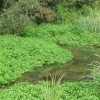 Part of River Test