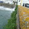St Mawes Harbour