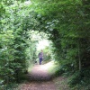 Hubbard's Hills