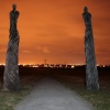 Tree Sculptures at Jeskyns Park at Night
