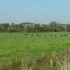 A view of Donyatt
