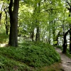Wolsingham