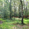 Hudd Lee Wood