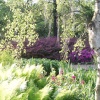 September sunshine