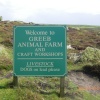 Animal Farm