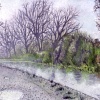 Erewash Canal, Near The Bridge Inn