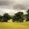 Landscape near Tonbridge, Kent