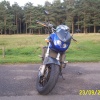 Willingham Woods near Market Rasen