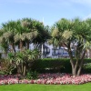 Waterloo Square
