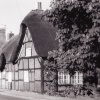 Thatched Cottage