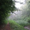 Toll path, Basingstoke Canal