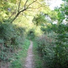 Tow Path, Basingstoke Canal