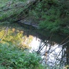 Basingstoke Canal