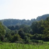 Selbourne - looking toward The Hangar
