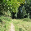 Selborne