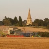 Overdue harvesting, Steeple Claydon, Bucks