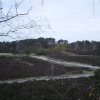 Ancient  paths