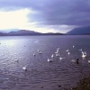 Derwentwater