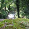 Around Up Nately