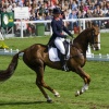 Badminton 2008
