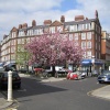 Springtime on Chelsea Common.
