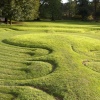 Turf labyrinth at Saffron Walden