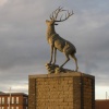 Marina Stag
