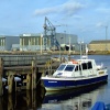 On the Tees