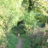 Canal walk