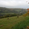 October view from Staples Hill