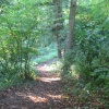 Leading to the Canal