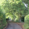 Up Nately
