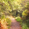 Mill Wood