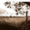 Marriotts way