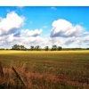 Marriotts way