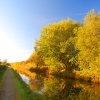 Autumn Canal path