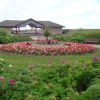 Lossiemouth